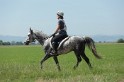 MAT_9839