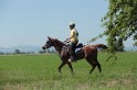 MAT_9846