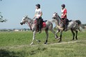 MAT_9863
