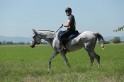 MAT_9882