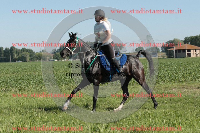 IMGB7132.JPG
