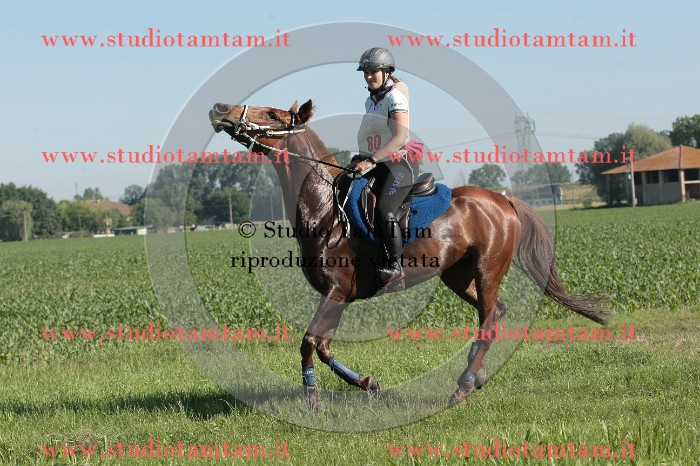 IMGB7201.JPG