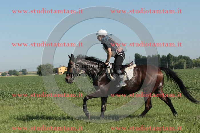 IMGB7244.JPG
