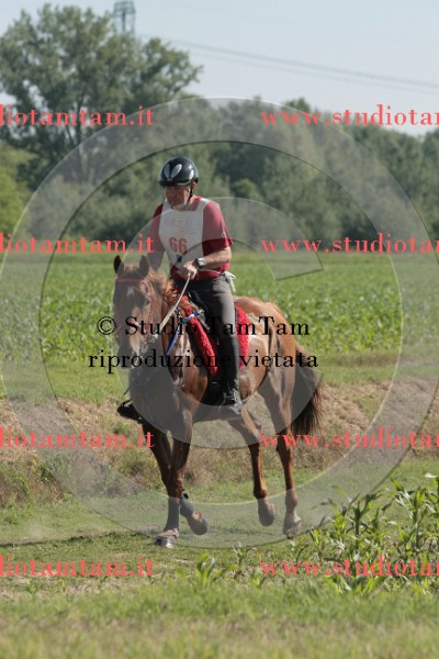 IMGB7302.JPG