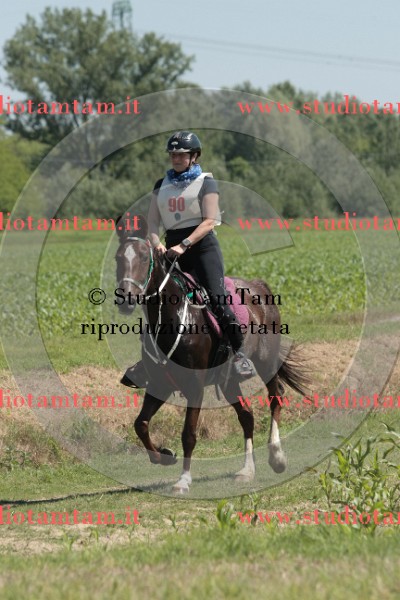 IMGB7862.JPG