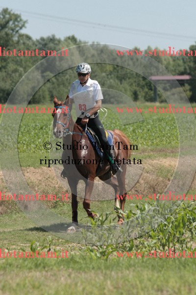 IMGB7888.JPG