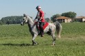 IMGB7293