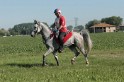 IMGB7294