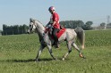 IMGB7295