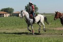 IMGB7307