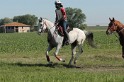 IMGB7308