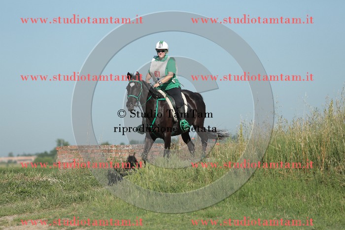 MAT_9308.JPG