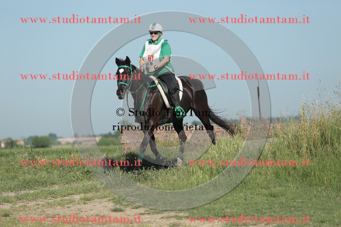 MAT_9309.JPG
