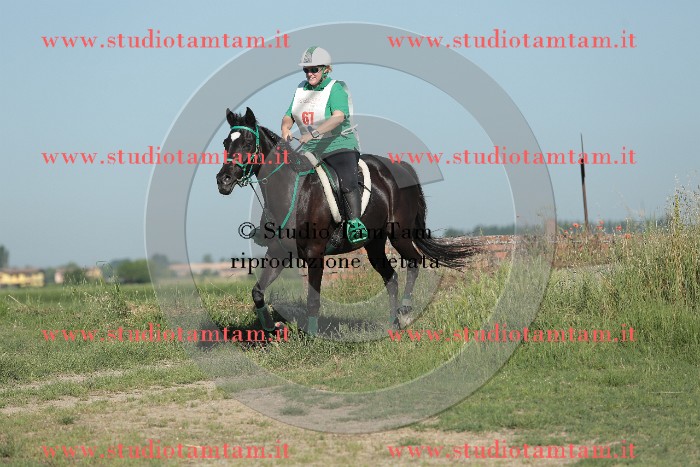 MAT_9310.JPG