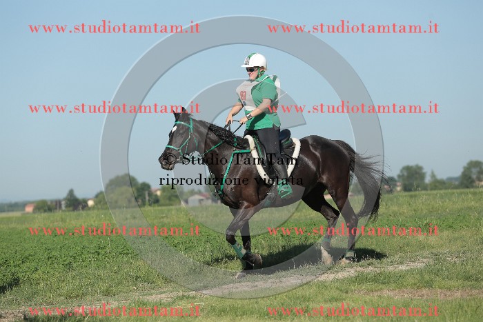 MAT_9311.JPG