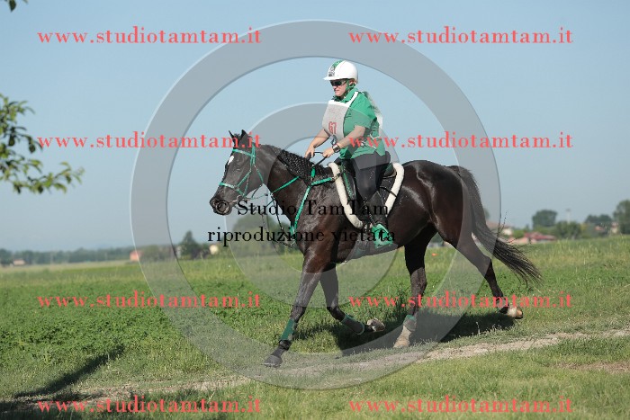 MAT_9312.JPG