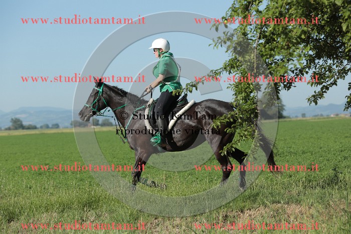 MAT_9314.JPG