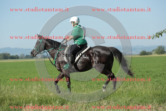 MAT_9316.JPG