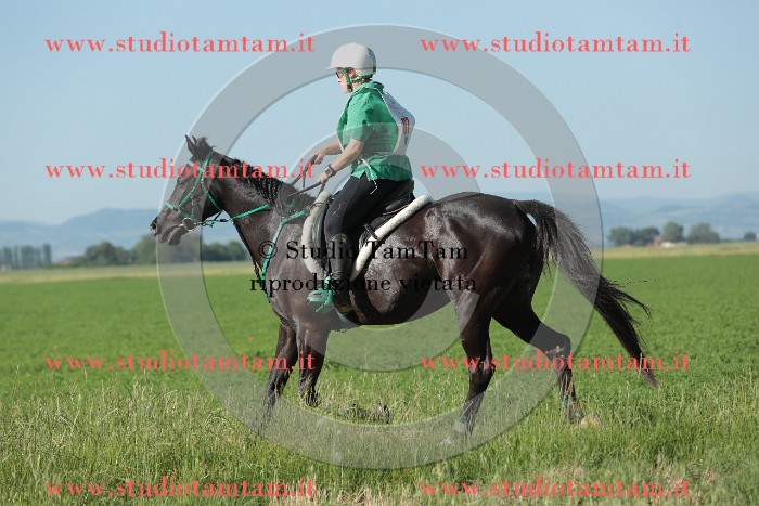 MAT_9317.JPG
