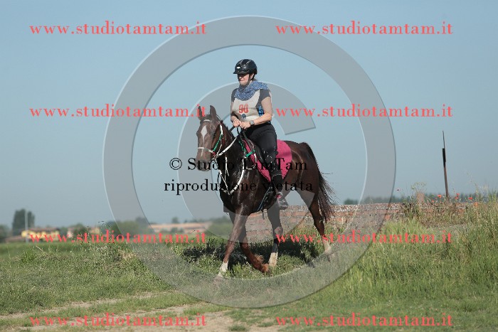 MAT_9320.JPG