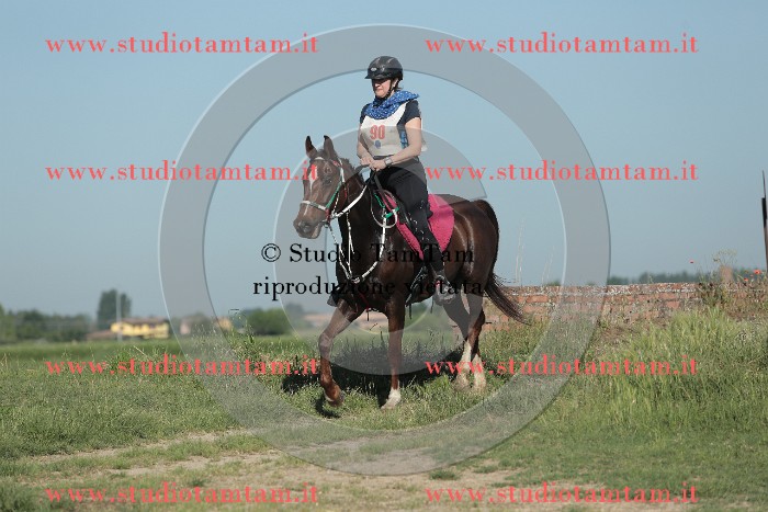 MAT_9321.JPG