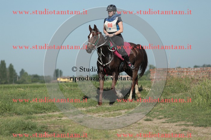 MAT_9322.JPG