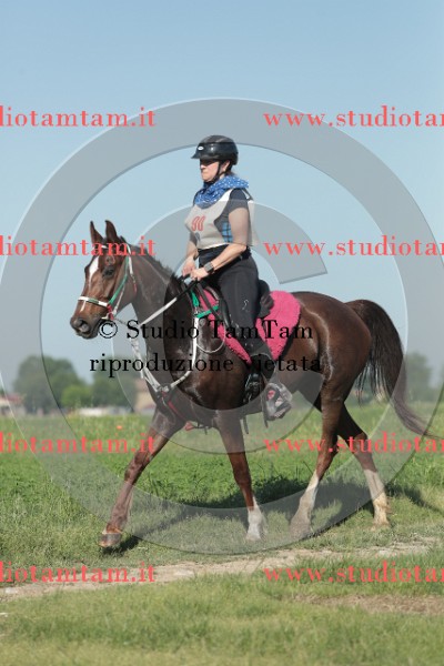 MAT_9323.JPG