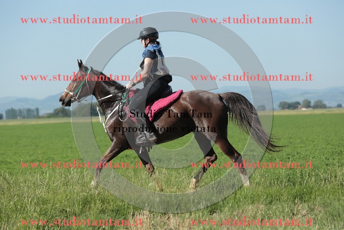 MAT_9328.JPG