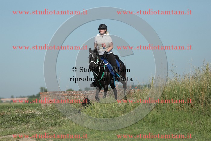 MAT_9331.JPG