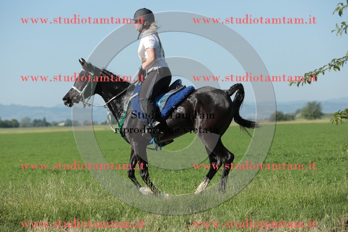 MAT_9337.JPG
