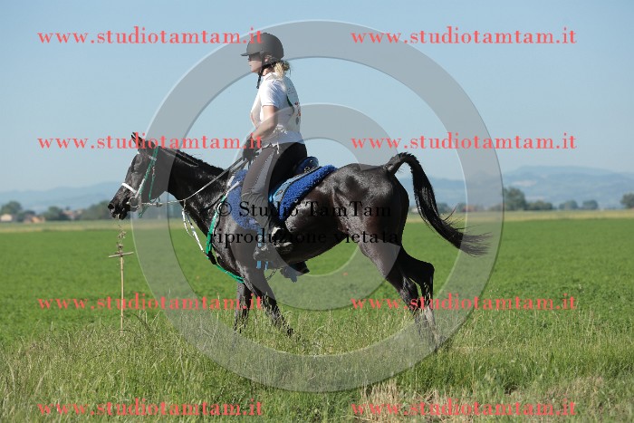 MAT_9339.JPG