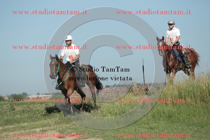 MAT_9343.JPG