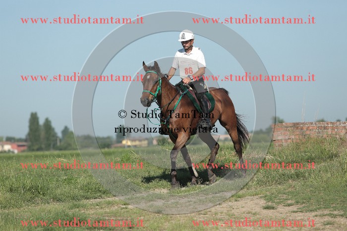 MAT_9344.JPG