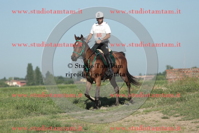 MAT_9345.JPG