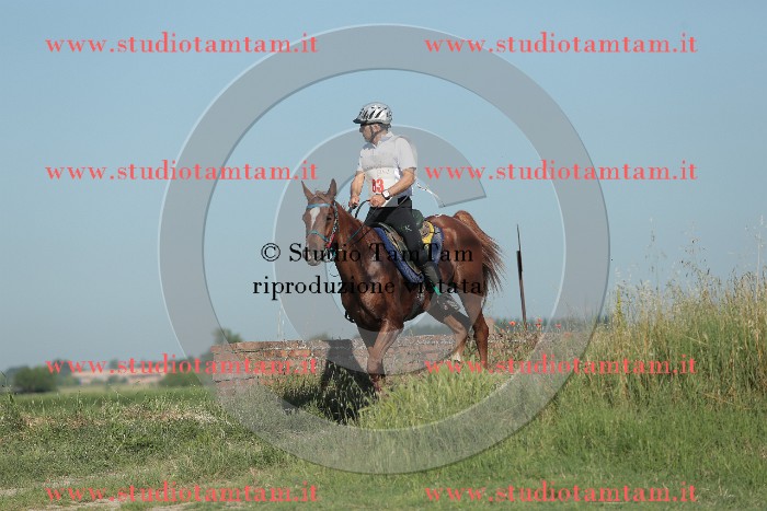 MAT_9346.JPG