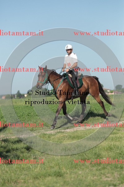 MAT_9347.JPG