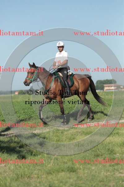 MAT_9348.JPG
