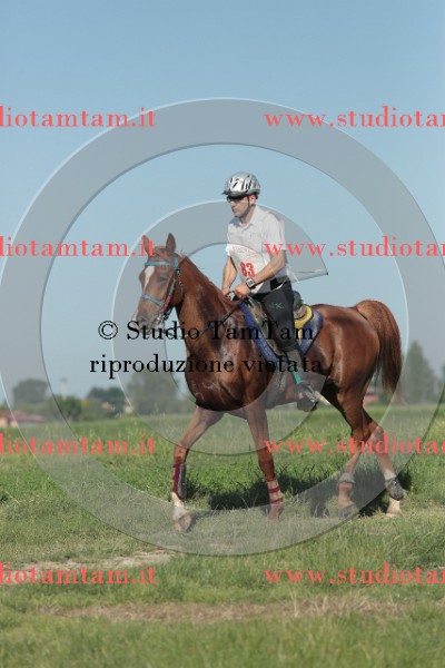MAT_9349.JPG