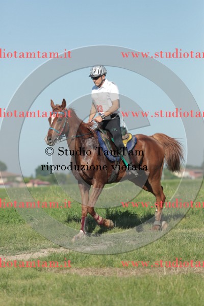 MAT_9350.JPG