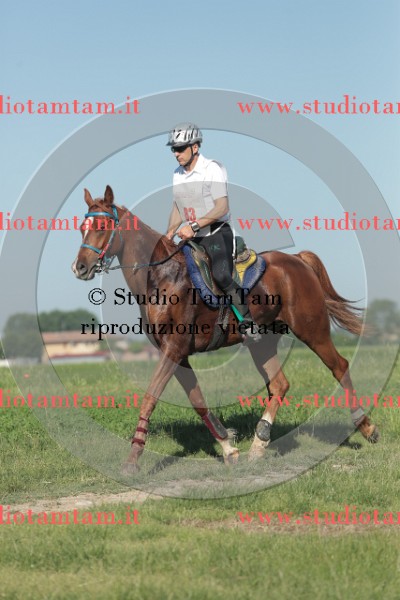 MAT_9351.JPG