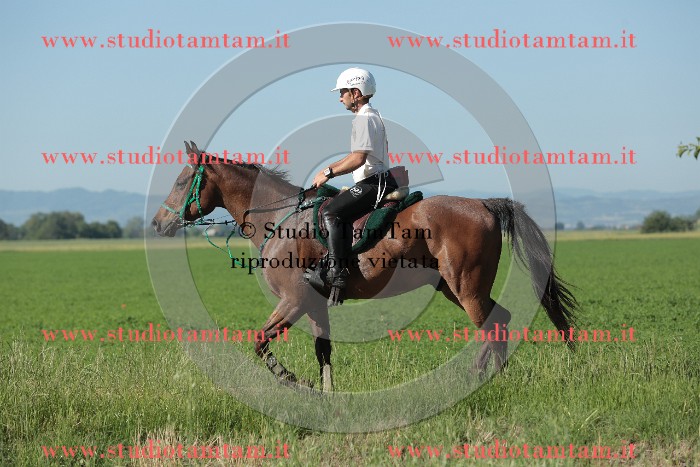 MAT_9354.JPG