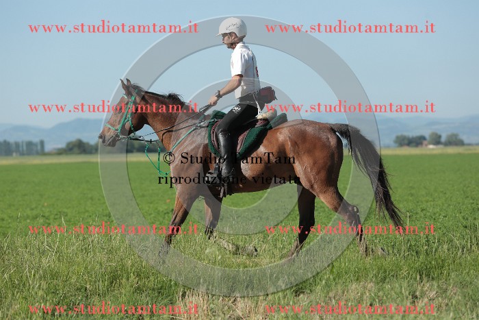 MAT_9355.JPG
