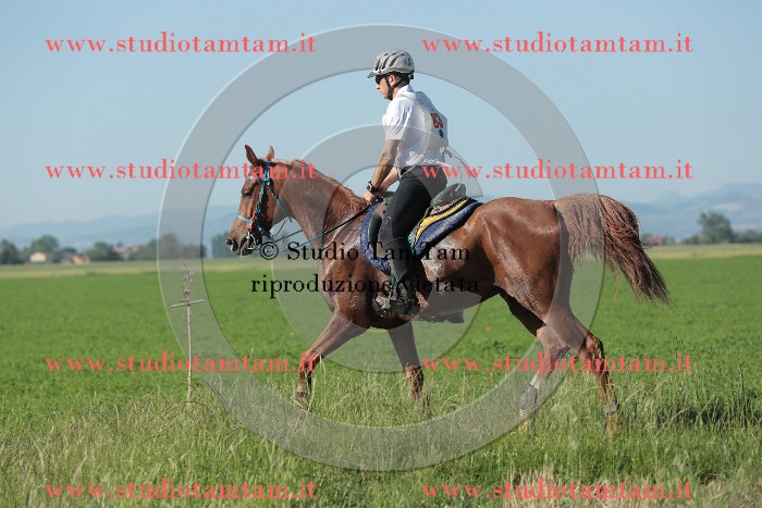 MAT_9360.JPG