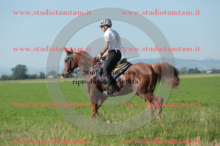 MAT_9361.JPG