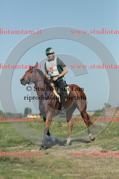 MAT_9368.JPG