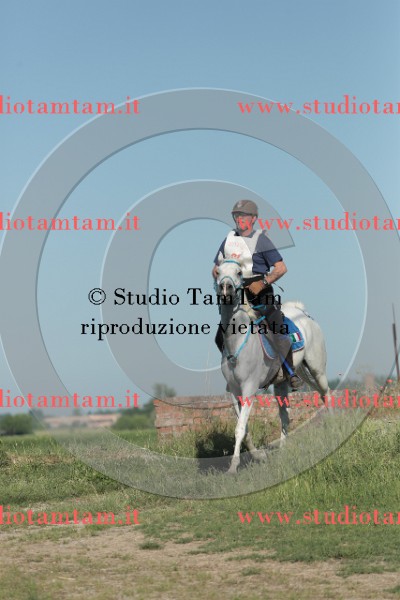 MAT_9369.JPG