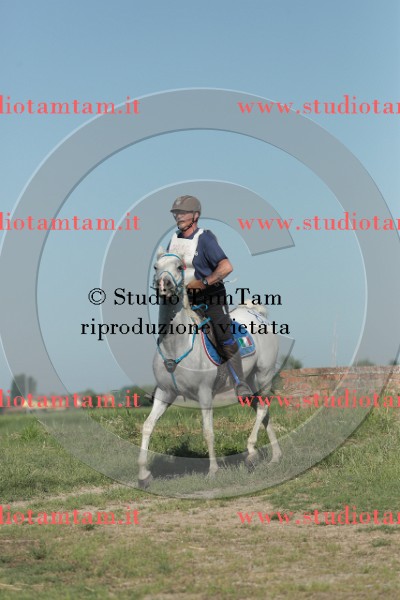MAT_9370.JPG