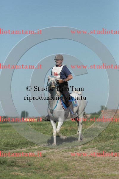 MAT_9371.JPG