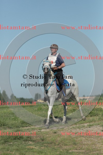 MAT_9372.JPG