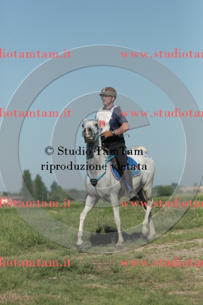 MAT_9373.JPG